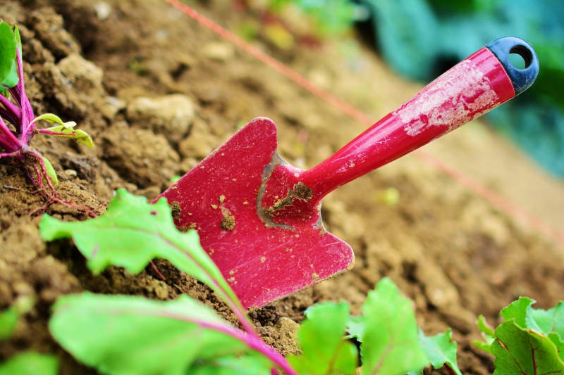 jardinerie-TOURNEFORT-min_gardening-2448134